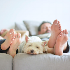 Living Home Bouwbedrijf Bouwen In Vertrouwen
