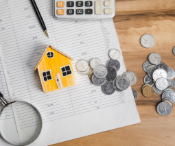 Blog Juni Juli Afbeelding